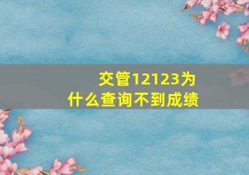 交管12123为什么查询不到成绩