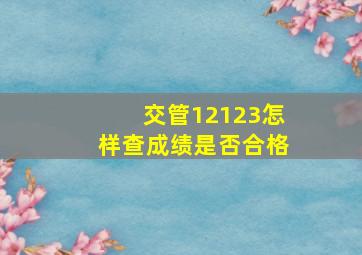 交管12123怎样查成绩是否合格