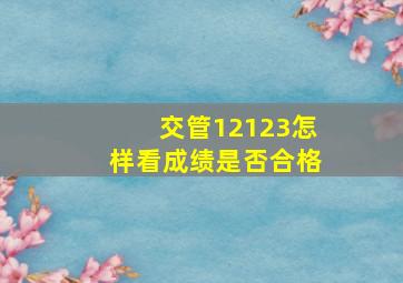 交管12123怎样看成绩是否合格