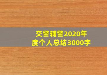 交警辅警2020年度个人总结3000字