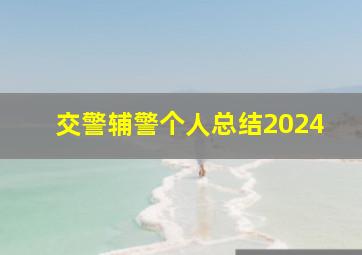 交警辅警个人总结2024