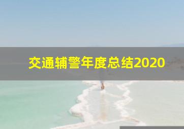 交通辅警年度总结2020