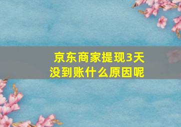 京东商家提现3天没到账什么原因呢