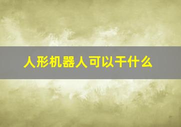 人形机器人可以干什么