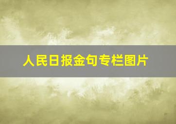 人民日报金句专栏图片