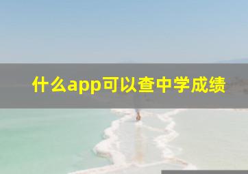 什么app可以查中学成绩