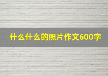 什么什么的照片作文600字