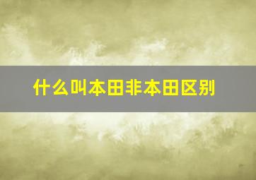 什么叫本田非本田区别