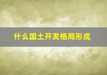 什么国土开发格局形成