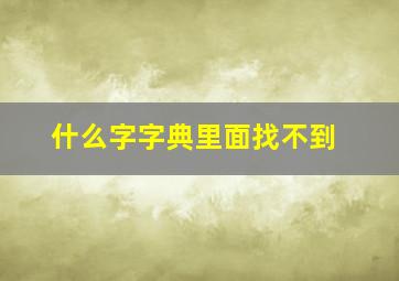 什么字字典里面找不到