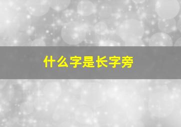 什么字是长字旁