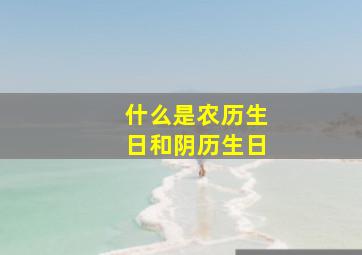 什么是农历生日和阴历生日