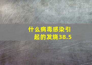 什么病毒感染引起的发烧38.5