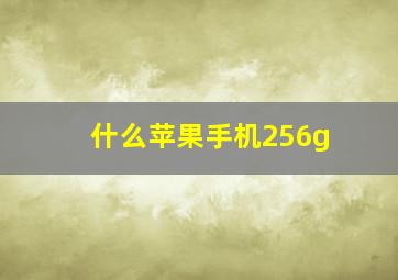 什么苹果手机256g