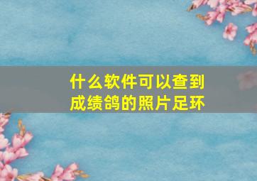 什么软件可以查到成绩鸽的照片足环