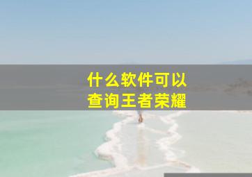 什么软件可以查询王者荣耀