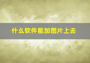 什么软件能加图片上去