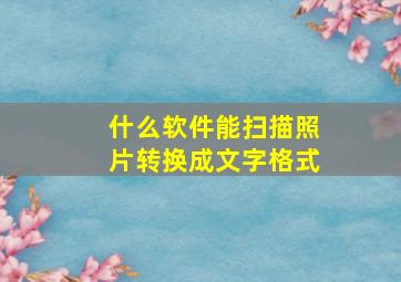 什么软件能扫描照片转换成文字格式