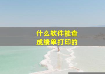 什么软件能查成绩单打印的