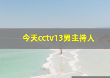 今天cctv13男主持人