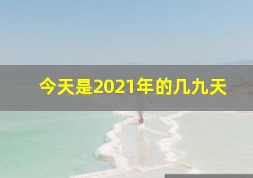 今天是2021年的几九天