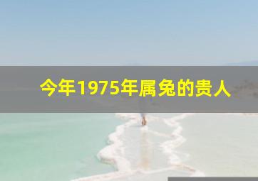 今年1975年属兔的贵人