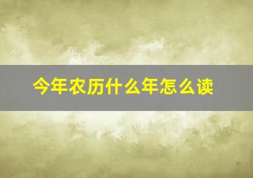 今年农历什么年怎么读