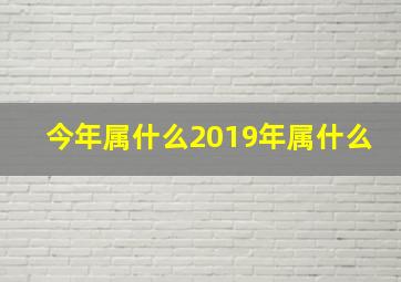 今年属什么2019年属什么