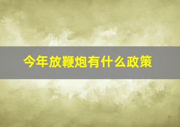 今年放鞭炮有什么政策