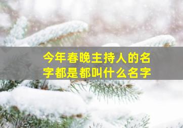 今年春晚主持人的名字都是都叫什么名字