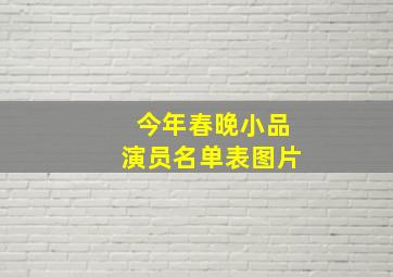 今年春晚小品演员名单表图片