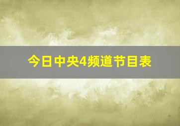 今日中央4频道节目表