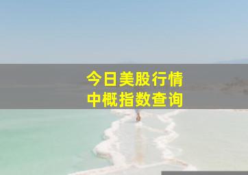 今日美股行情中概指数查询