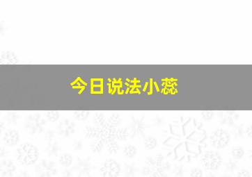 今日说法小蕊