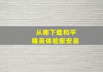 从哪下载和平精英体验服安装