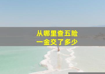 从哪里查五险一金交了多少