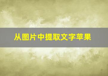 从图片中提取文字苹果