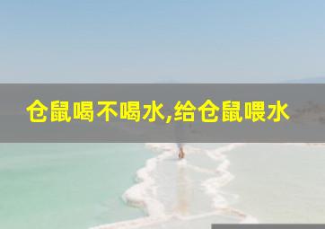 仓鼠喝不喝水,给仓鼠喂水