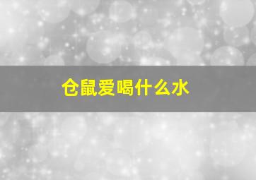 仓鼠爱喝什么水