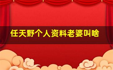 任天野个人资料老婆叫啥