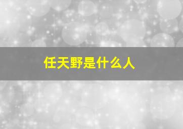 任天野是什么人