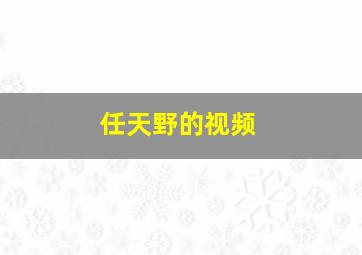 任天野的视频