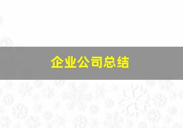 企业公司总结