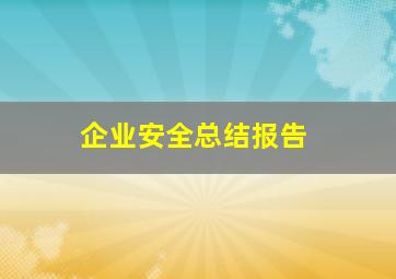 企业安全总结报告