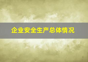 企业安全生产总体情况