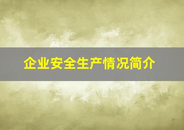 企业安全生产情况简介