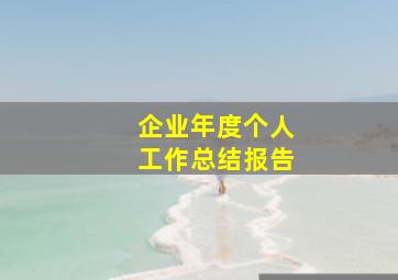 企业年度个人工作总结报告