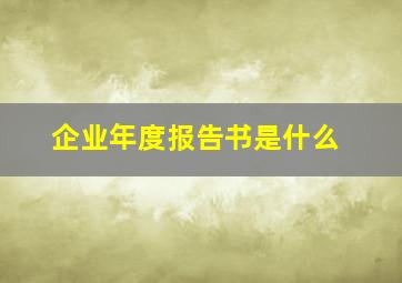 企业年度报告书是什么