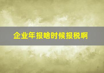 企业年报啥时候报税啊