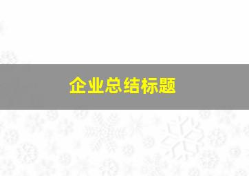 企业总结标题